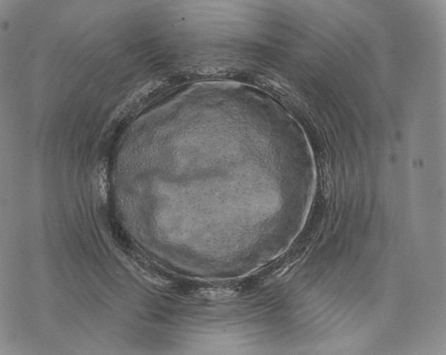 X0000076320644200610161645