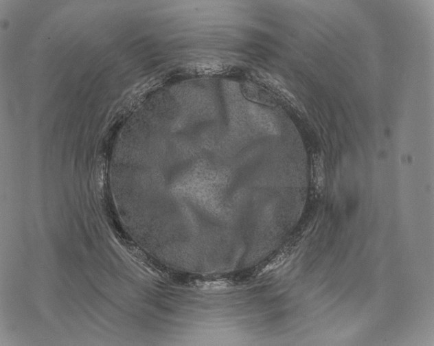 X0000076320645200610161645