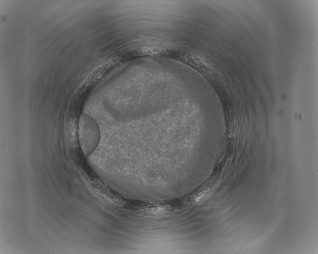 X0000076320646200610161645