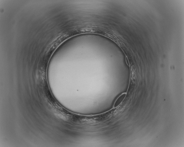 X0000076320648200610161645