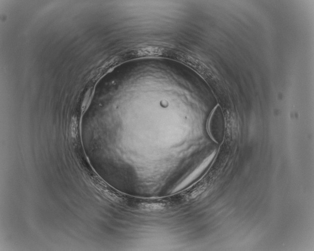 X0000076320649200610161645