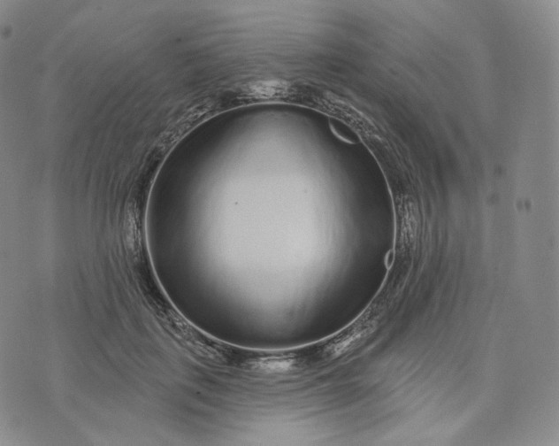 X0000076320651200610161645