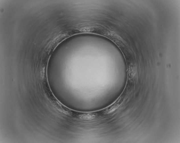 X0000076320652200610161645