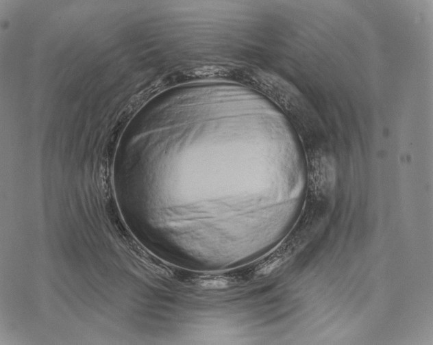 X0000076320653200610161645