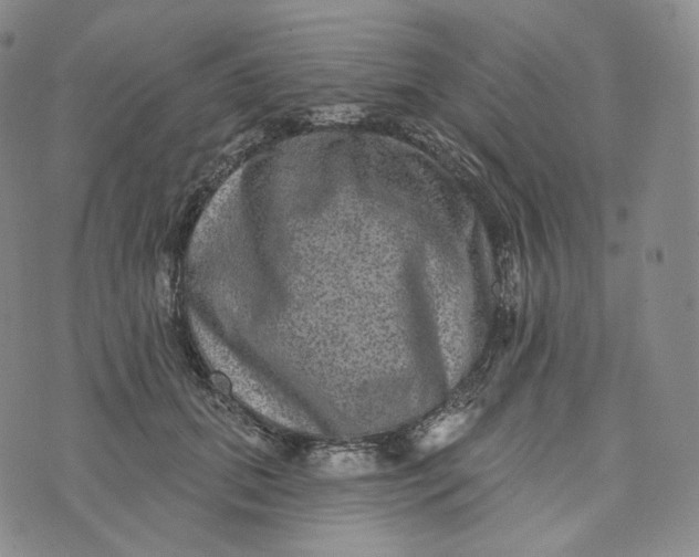 X0000076320655200610161645