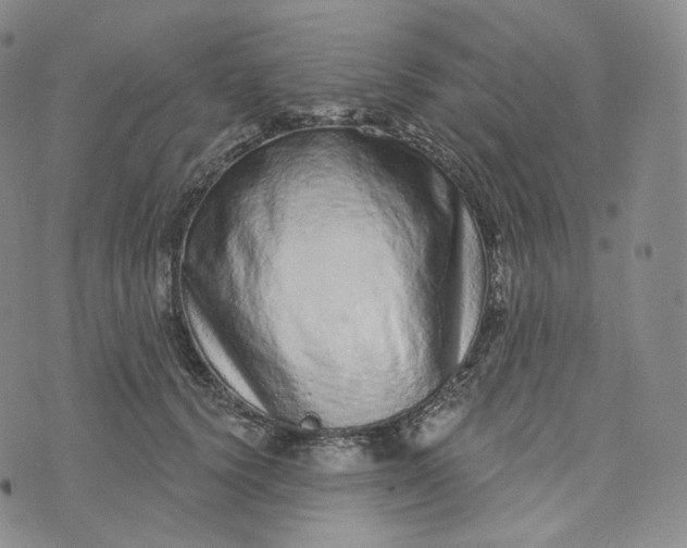 X0000076320656200610161645