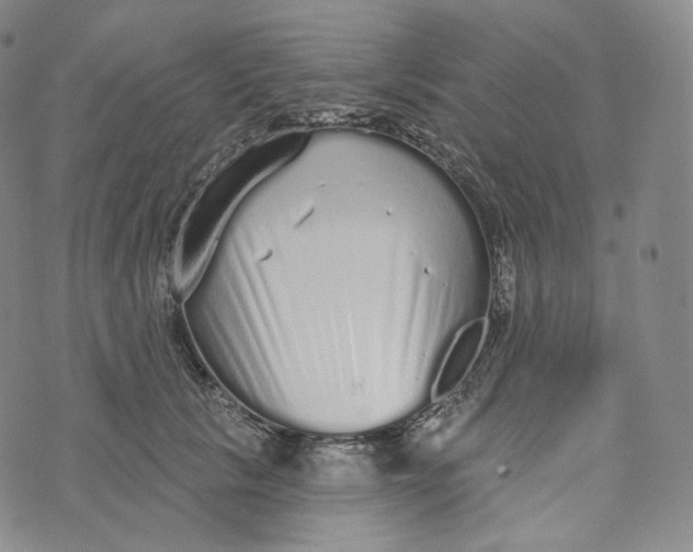 X0000076320657200610161645