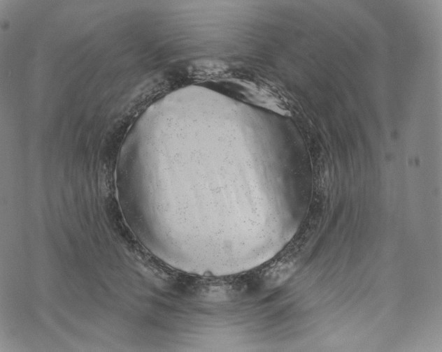 X0000076320658200610161645