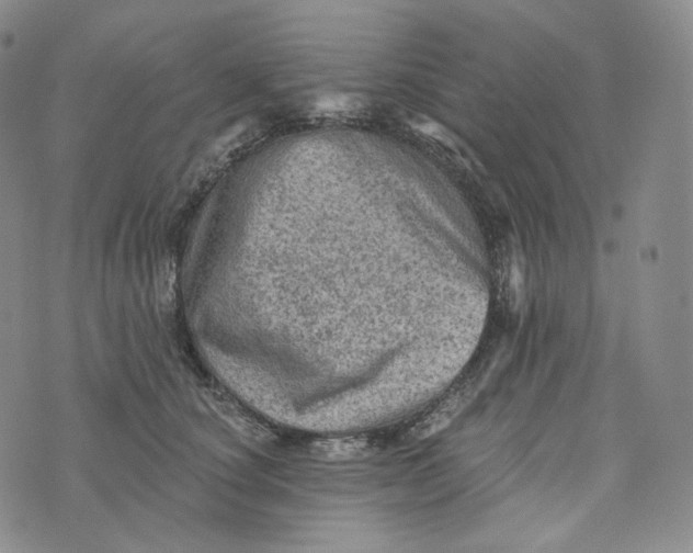 X0000076320660200610161645