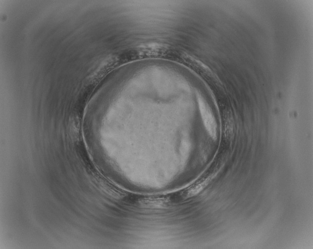 X0000076320661200610161645