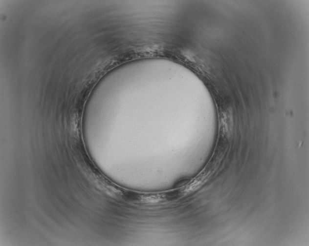 X0000076320662200610161645