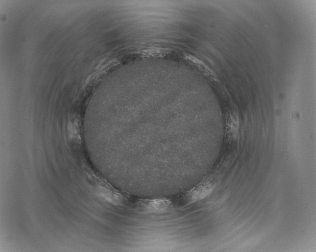 X0000076320663200610161645