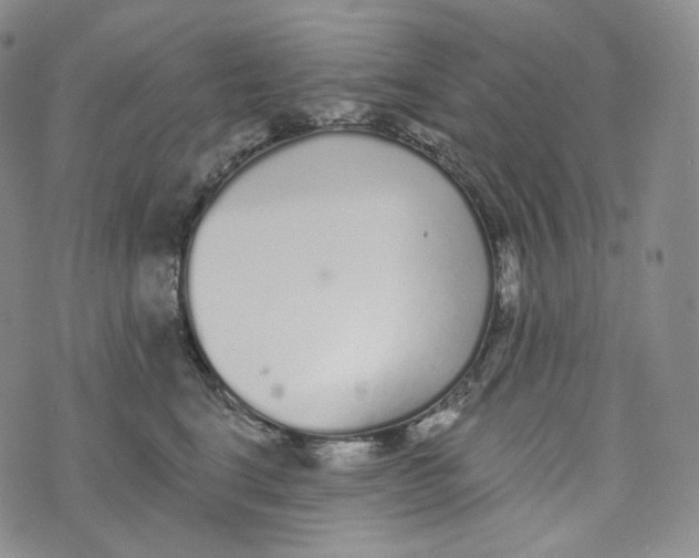 X0000076320664200610161645