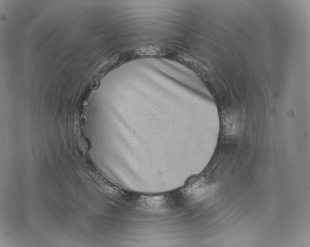 X0000076320665200610161645