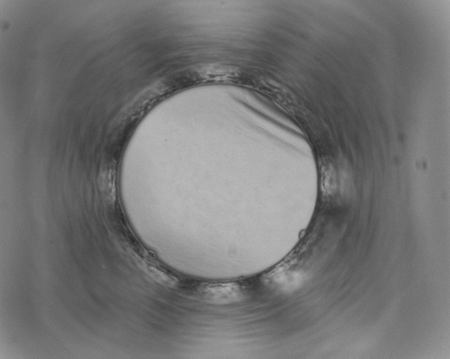 X0000076320666200610161645