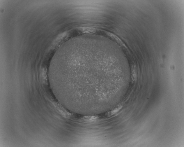 X0000076320667200610161645