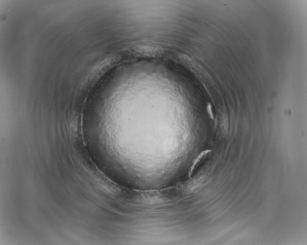 X0000076320668200610161645