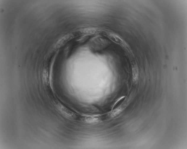 X0000076320669200610161645