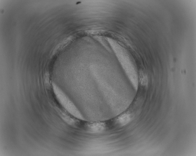 X0000076320670200610161645