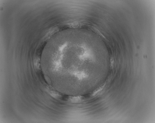 X0000076320671200610161645