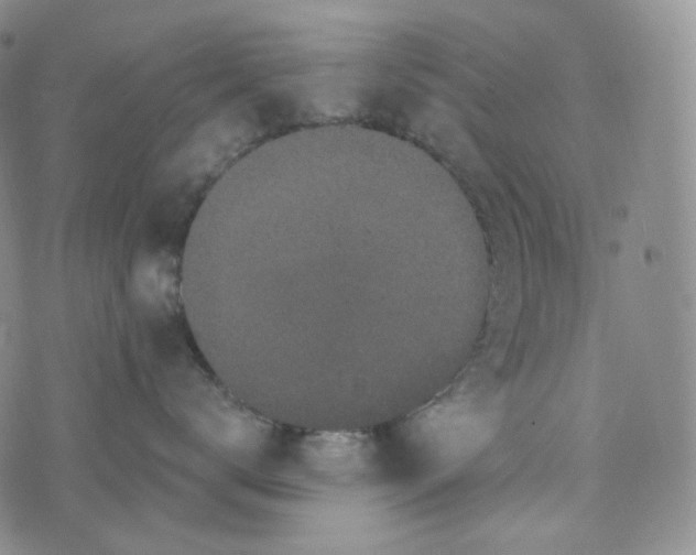 X0000076320672200610161645