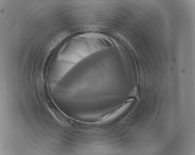 X0000076320674200610161644