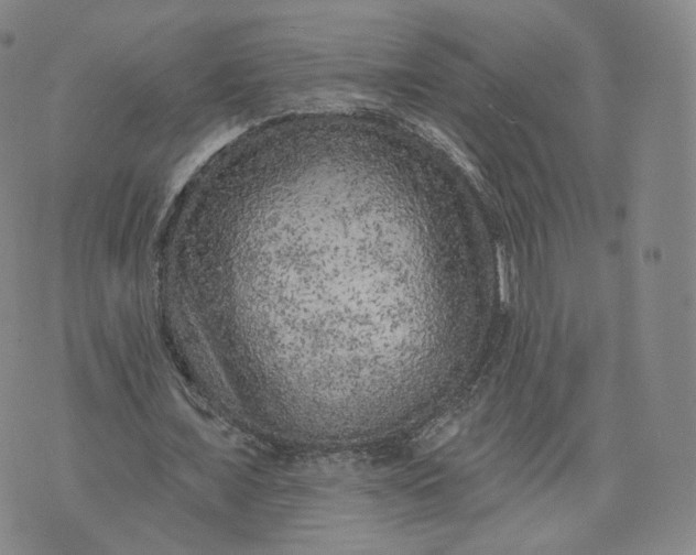 X0000076320675200610161644