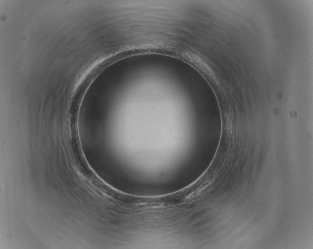 X0000076320676200610161644