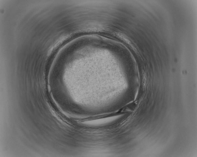 X0000076320677200610161644