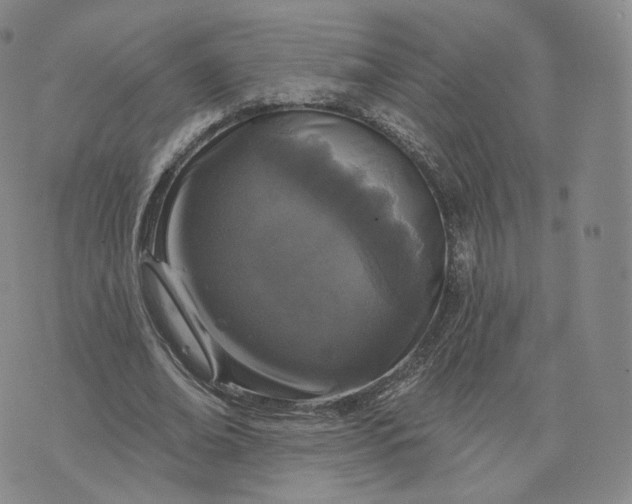 X0000076320678200610161644