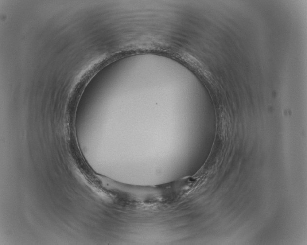 X0000076320680200610161644