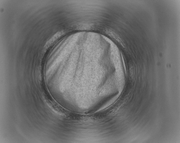 X0000076320682200610161644