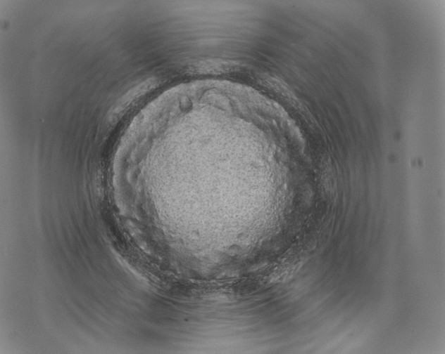 X0000076320683200610161644