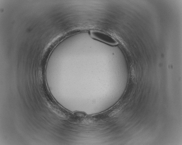 X0000076320684200610161644