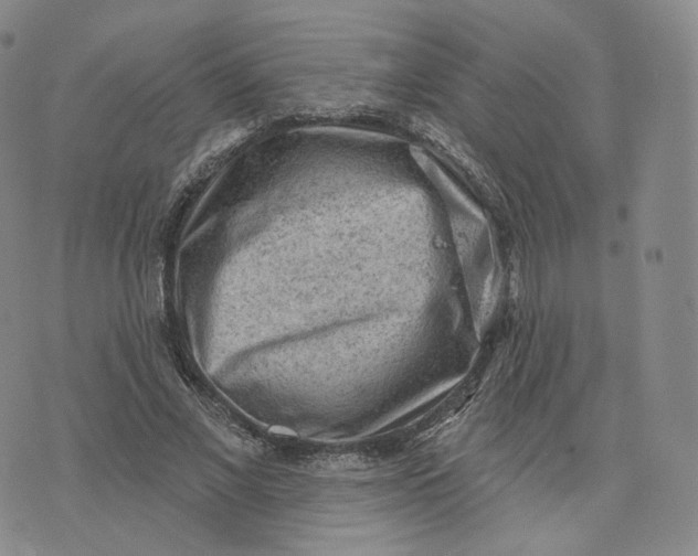 X0000076320685200610161644