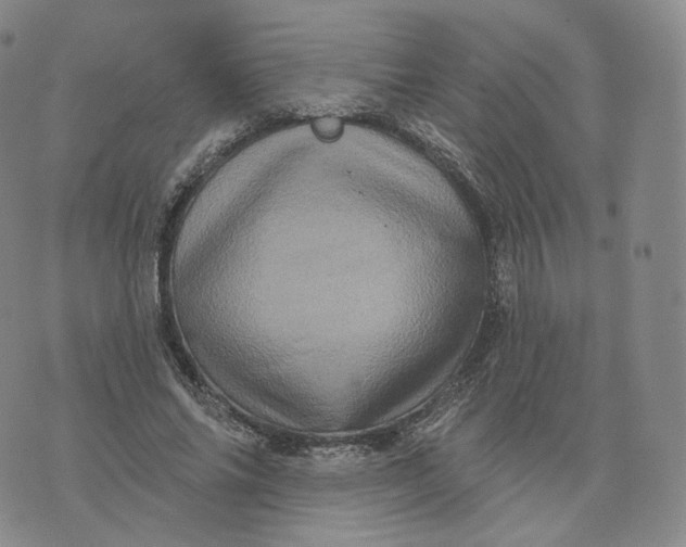 X0000076320686200610161644