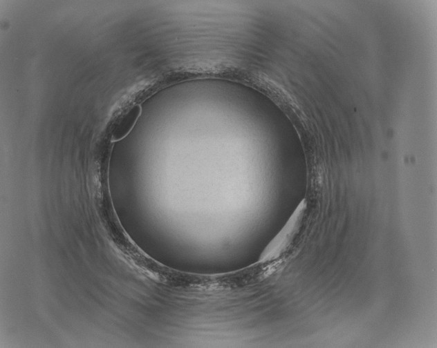 X0000076320688200610161644