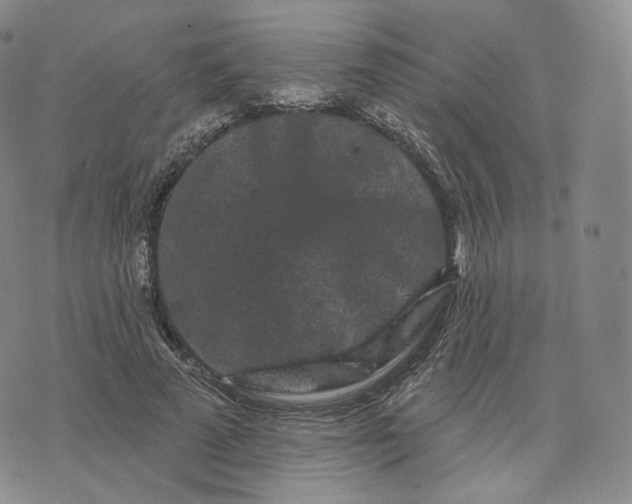 X0000076320689200610161644