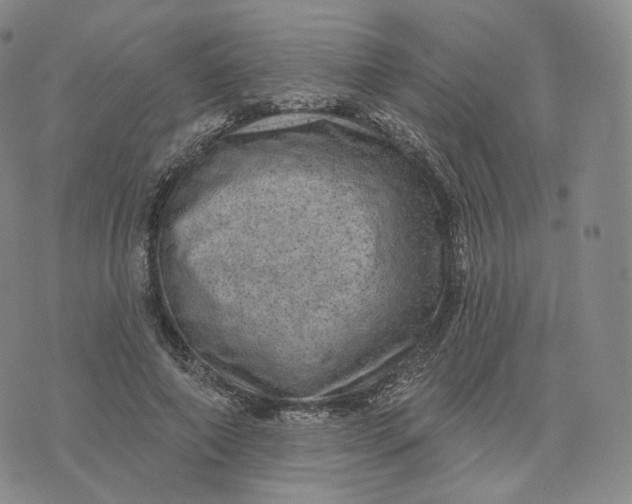 X0000076320690200610161644