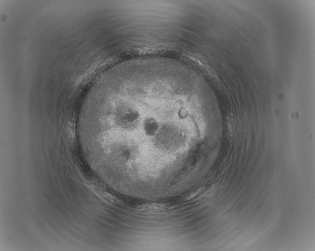 X0000076320691200610161644