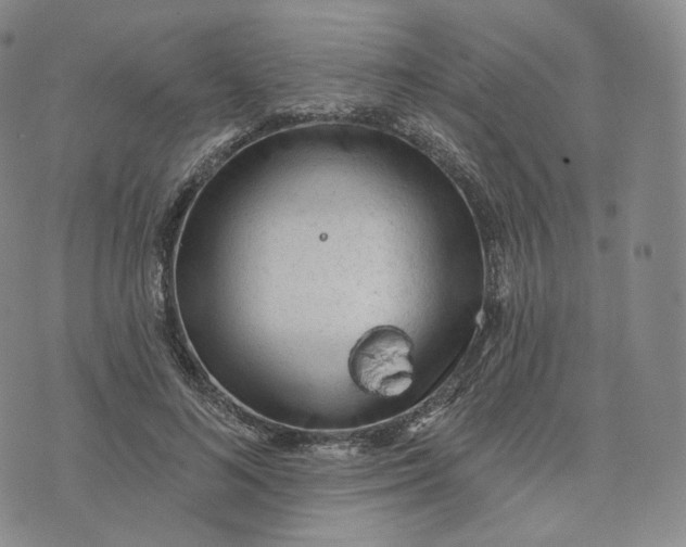 X0000076320692200610161644