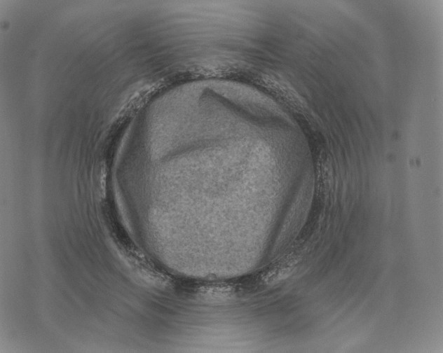 X0000076320694200610161644