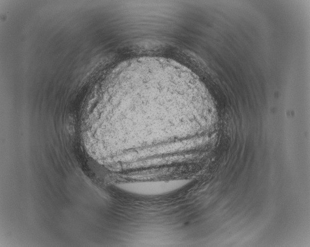 X0000076320695200610161644