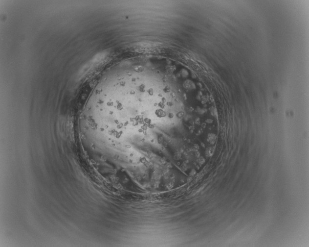 X0000076320696200610161644