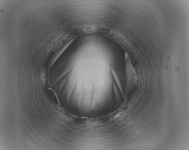 X0000076320697200610161644