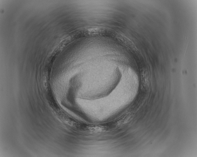 X0000076320698200610161644