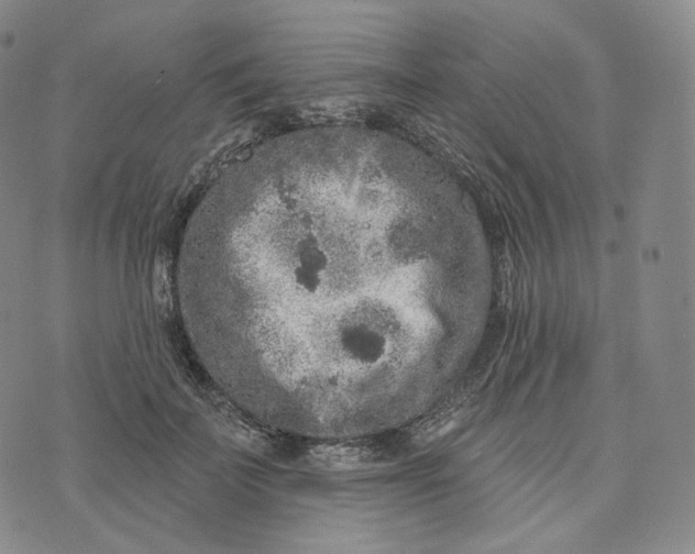 X0000076320699200610161644