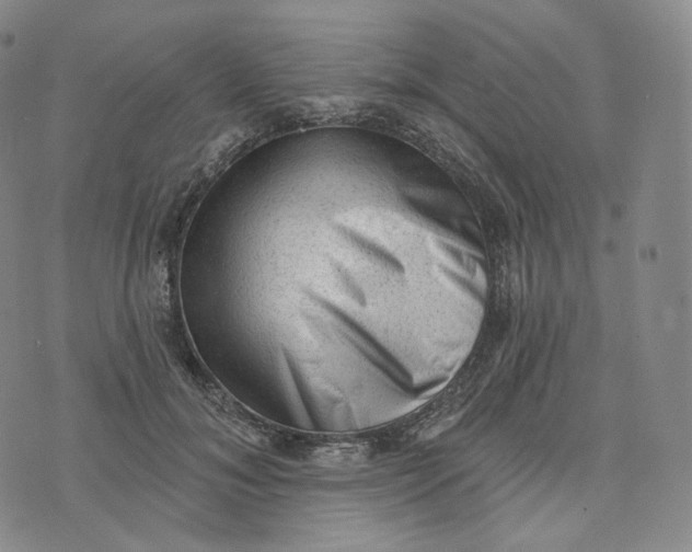 X0000076320700200610161644