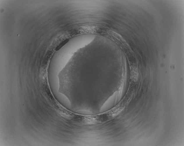 X0000076320701200610161644