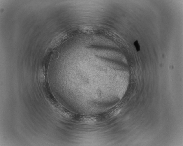 X0000076320702200610161644